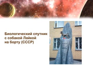 3  ноября 1957 года Биологический спутник  с собакой Лайкой  на борту (СССР) 