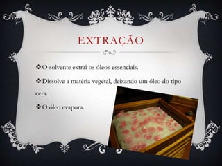 EXTRAÇÃO
O solvente extrai os óleos essenciais.
Dissolve a matéria vegetal, deixando um óleo do tipo
cera.
O óleo evapora.
 