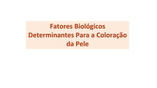Fatores Biológicos
Determinantes Para a Coloração
da Pele
 