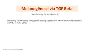 Melanogênese via TGF Beta
http://www.ncbi.nlm.nih.gov/pubmed/20144786
Transforming Growth Factor β
Transforming Growth Factor β (TGF β) promove desregulação do MITF inibindo a maturação das enzimas
envolvidas na melanogênes.
 