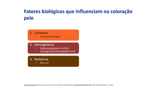 Fatores biológicos que influenciam na coloração
pele
1. Hemoglobina
2. Melanina
• Marrom
Ann Dermatol Venereol. 2012 Dec;139 Suppl 4:S125-9. doi: 10.1016/S0151-9638(12)70123-0. Normal and abnormal skin color. PMID: 23522626 [PubMed - in process]
 
