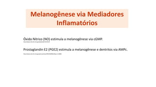 Melanogênese via Mediadores
Inflamatórios
Óxido Nítrico (NO) estimula a melanogênese via cGMP.
http://www.ncbi.nlm.nih.gov/pubmed/12519129
Prostaglandin E2 (PGE2) estimula a melanogênese e dentritos via AMPc.
http://www.ncbi.nlm.nih.gov/pmc/articles/PMC3649002/#!po=2.50000
 