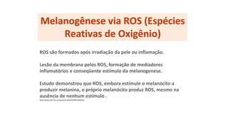 Melanogênese via ROS (Espécies
Reativas de Oxigênio)
ROS são formados após irradiação da pele ou inflamação.
Lesão da membrana pelos ROS, formação de mediadores
inflamatórios e conseqüente estímulo da melanogenese.
Estudo demonstrou que ROS, embora estimule o melanócito a
produzir melanina, o próprio melanócito produz ROS, mesmo na
ausência de nenhum estímulo .
http://www.ncbi.nlm.nih.gov/pmc/articles/PMC3600250/
 