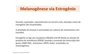 Melanogênese via Estrogênio
Durante a gestação, especialmente no terceiro mês, elevados níveis de
estrogênio são encontrados;
A atividade da tirosina é aumentada em culturas de melanócitos com
estradiol.
Estrogênio se liga aos receptores ER(alfa) and ER (beta) ou através da
proteína de membrana GPR30, levando a aumento da transcrição dos
genes cAMP-PKA , tirosinase e MITF, todos envolvidos na
melanogênese
http://www.ncbi.nlm.nih.gov/pubmed/21745488
 
