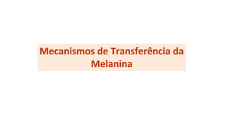 Mecanismos de Transferência da
Melanina
 