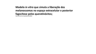 Modelo in vitro que simula a liberação dos
melanossomas no espaço extracelular e posterior
fagocitose pelos queratinócitos;
http://www.ncbi.nlm.nih.gov/pubmed/21686100
 
