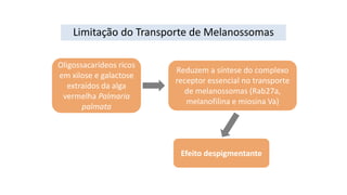 Oligossacarídeos ricos
em xilose e galactose
extraídos da alga
vermelha Palmaria
palmata
Reduzem a síntese do complexo
receptor essencial no transporte
de melanossomas (Rab27a,
melanofilina e miosina Va)
Efeito despigmentante
Limitação do Transporte de Melanossomas
 