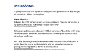 Melanócitos
A pele possui unidades epidermais responsáveis pela síntese e distribuição
da melanina. São os melanócitos.
Breve Histórico
Estudos de 1928, consideravam os melanócitos um “sistema para nutrir a
epiderme através de nutrientes obtidos na derme”.
http://www.ncbi.nlm.nih.gov/pmc/articles/PMC2229755/pdf/41.pdf
Billingham publicou um artigo em 1948 denominado “Dendritic cells” onde
afirmava que os dendritos dos melanócitos serviam para espalhar vírus
através da epiderme.
Em 1961, estudos já demonstravam que Melanócitos eram produzidos a
partir da crista neural (embriologia) e migram para diversos pontos
principalmente epiderme, derme e folículo piloso.
http://www.ncbi.nlm.nih.gov/pmc/articles/PMC2641981/
Human skin pigmentation: melanocytes modulate skin color in response to stress. Costin GE, Hearing VJ. PMID: 17242160 [PubMed - indexed for MEDLINE]
 