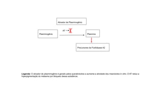 Plasminogênio Plasmina
Ativador de Plasminogênio
Precursores da Fosfolipase A2
AT
Legenda: O ativador de plasminogênio é gerado pelos queratinócitos e aumenta a atividade dos meanócitos in vitro. O AT reduz a
hiperpigmentação do melasma por bloqueio dessa substância.
 