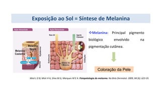 Exposição ao Sol = Síntese de Melanina
Melanina: Principal pigmento
biológico envolvido na
pigmentação cutânea.
Miot L D B, Miot H A, Silva M G, Marques M E A. Fisiopatologia do melasma. Na Brás Dermatol. 2009, 84 (6): 623-35.
Coloração da Pele
 