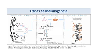 Etapas da Melanogênese
Stefania Briganti, Emanuela Camera, Mauro Picardo. Chemical and Instrumental Approaches to Treat Hyperpigmentation. San
Gallicano Dermatological Institute, Via Elio Chianesi, Rome, Italy. PIGMENT CELL RES 16: 101–110. 2003.
 