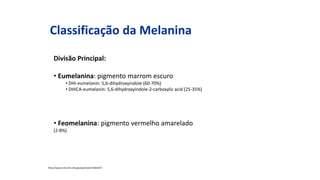 Classificação da Melanina
Divisão Principal:
• Eumelanina: pigmento marrom escuro
• DHI-eumelanin: 5,6-dihydroxyindole (60-70%)
• DHICA-eumelanin: 5,6-dihydroxyindole-2-carboxylic acid (25-35%)
• Feomelanina: pigmento vermelho amarelado
(2-8%)
http://www.ncbi.nlm.nih.gov/pubmed/11601655
 