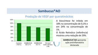 Sambucus®AO
Produção de VEGF por queratinócitos
A biossíntese foi inibida em
18% na concentração de 0,1% e
em 24% na concentração de
1%.
O Ácido Retinóico (referência)
mostrou uma redução de 29%.
SAMBUCUS®AO apresenta
ação antiinflamatória
destacada
 