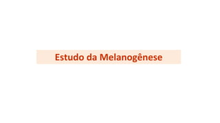 Estudo da Melanogênese
 