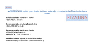 MATRIGENICS 14G reativa genes ligados à síntese, maturação e organização das fibras de elastina na
derme:
Gene relacionados à síntese de elastina
+21% of ELAST (Elastin)
Gene relacionados à maturação de elastina
+36% of FBN1 (Fibrilin 1)
Gene relacionados à síntese de elastina
+50% of LOX (lysyl oxydase)
+43% of LOXL2 (lysyl oxydase-like 2)
Gene relacionados à proteção da fibras de elastina
+18% of TIMP2 (Tissue Inhibitor MetaloProteinases 2)
IN VITRO
 