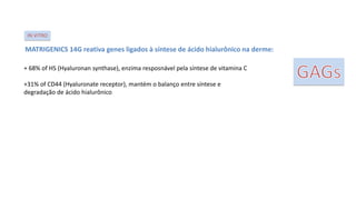 MATRIGENICS 14G reativa genes ligados à síntese de ácido hialurônico na derme:
+ 68% of HS (Hyaluronan synthase), enzima resposnável pela síntese de vitamina C
+31% of CD44 (Hyaluronate receptor), mantém o balanço entre síntese e
degradação de ácido hialurônico
IN VITRO
 