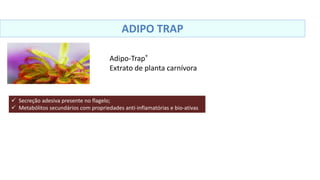 ADIPO TRAP
Adipo-Trap®
Extrato de planta carnívora
 Secreção adesiva presente no flagelo;
 Metabólitos secundários com propriedades anti-inflamatórias e bio-ativas
 