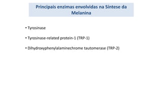 • Tyrosinase
• Tyrosinase-related protein-1 (TRP-1)
• Dihydroxyphenylalaminechrome tautomerase (TRP-2)
Principais enzimas envolvidas na Síntese da
Melanina
 