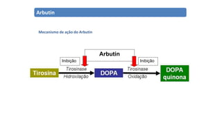 Arbutin
Inibição Inibição
Mecanismo de ação do Arbutin
Arbutin
 