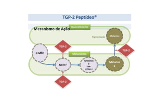 Melanócito
Queratinócito
Mecanismo de Ação
TGP-2 Peptídeo®
α-MSH
MITTF
Tyrosinas
e
TRP-
1/TRP-2
Melanin
a
Melanina
TGP-2
TGP-2
TGP-2
Pigmentação
 