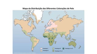 Mapa da Distribuição das Diferentes Colorações de Pele
 