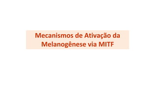 Mecanismos de Ativação da
Melanogênese via MITF
 