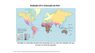 Radiação UV e Coloração da Pele
Variação na coloração da pele está associada com os níveis de radiação UV, que
é maior na linha do equador.
Barsh G.S., Plos Biol. 1:019, 2003 Disponível em http://www.evolution-textbook.org/content/free/figures/26_EVOW_Art/13_EVOW_CH26.pdf
 