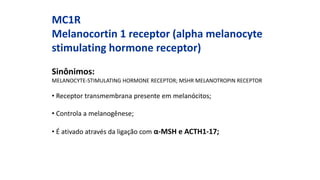 MC1R
Melanocortin 1 receptor (alpha melanocyte
stimulating hormone receptor)
Sinônimos:
MELANOCYTE-STIMULATING HORMONE RECEPTOR; MSHR MELANOTROPIN RECEPTOR
• Receptor transmembrana presente em melanócitos;
• Controla a melanogênese;
• É ativado através da ligação com α-MSH e ACTH1-17;
 