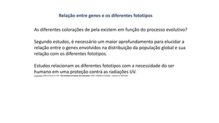 As diferentes colorações de pela existem em função do processo evolutivo?
Segundo estudos, é necessário um maior aprofundamento para elucidar a
relação entre o genes envolvidos na distribuição da população global e sua
relação com os diferentes fototipos.
Estudos relacionam os diferentes fototipos com a necessidade do ser
humano em uma proteção contra as radiações UV.
J Hum Evol. 2000 Jul;39(1):57-106. The evolution of human skin coloration. PMID: 10896812 [PubMed - indexed for MEDLINE]
Relação entre genes e os diferentes fototipos
 
