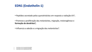 EDN1 (Endothelin-1)
• Peptídeo secretado pelos queratinócitos em resposta a radiação UV1;
• Promove a proliferação dos melanócitos, migração, melanogênese e
formação de dendritos2;
• Influencia a adesão e a migração dos melanócitos3.
1. http://www.ncbi.nlm.nih.gov/pubmed/12189238
2. http://www.ncbi.nlm.nih.gov/pubmed/7490466
3. http://www.ncbi.nlm.nih.gov/pubmed/16136953
 