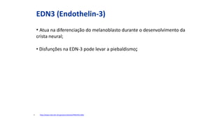 EDN3 (Endothelin-3)
• Atua na diferenciação do melanoblasto durante o desenvolvimento da
crista neural;
• Disfunções na EDN-3 pode levar a piebaldismo;
1. http://www.ncbi.nlm.nih.gov/pmc/articles/PMC2911366/
 