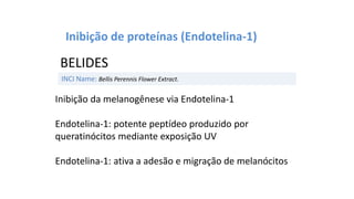 INCI Name: Bellis Perennis Flower Extract.
BELIDES
Inibição de proteínas (Endotelina-1)
Inibição da melanogênese via Endotelina-1
Endotelina-1: potente peptídeo produzido por
queratinócitos mediante exposição UV
Endotelina-1: ativa a adesão e migração de melanócitos
 
