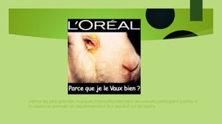 Même les plus grandes marques internationalement reconnues participent parfois à
la violence animale en expérimentant leur produit sur les lapins.