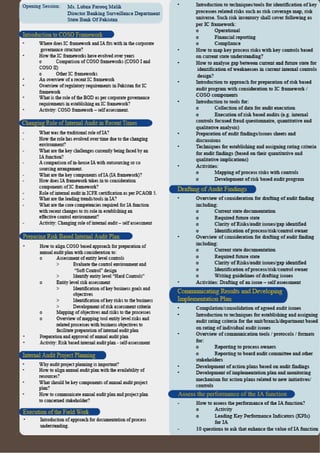Coso Based Internal Audit Controls | PDF