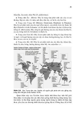 30
thầu dầu, lúa nước châu Phi (O. glaberrima).
Trung tâm Âu - Siberia: Đây là trung tâm phát sinh các cây củ cải
đường, bắp cải, nho, lê, mận, anh đào, dâu tây, cỏ ba lá, cây hoa bia.
Trung tâm Trung Mỹ (Mexico, Goatemala, Hondurat và Panama):
Đây là nơi phát sinh của cây ngô (Zea mays), của nhiều loài cây thuộc bộ
đậu (Fabales) và chi Solanum, với rất nhiều loài khoai tây dại và khoai tây
trồng (S. tuberosum); Đây cũng là quê hương của các cây thuộc họ bầu bí,
ca cao, bông luồi (G. hirsutum) và thuốc lá.
Trung tâm Nam Mỹ: Đây là nơi phát sinh cây bông Ai cập, khoai tây
và ngô; và là quê hương của các cây cà chua, hướng dương, lạc, ớt, bầu bí,
dưa, ca cao, cao su và cà phê.
Trung tâm Bắc Mỹ: Đây là nơi phát sinh các cây dâu tây, khoai tây,
thuốc lá, nho, bông, hướng dương châu Mỹ, táo, mận đào v.v.
Hình 2.4 Các Trung tâm của Vavilov về nguồn gốc phát sinh các giống cây
trồng trên thế giới (theo Hartlan 1976).
Quan điểm này của Vavilov được nhiều nhà khoa học trên thế giới
thừa nhận và nó giúp cho các nhà chọn giống định hướng đúng trong việc
tìm kiếm và thu thập nguồn gene mong muốn trong tự nhiên để đáp ứng
được yêu cầu của chương trình chọn tạo giống đặt ra. Chẳng hạn, để có thể
 