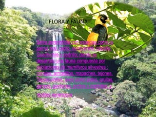 batallaEl 18 de octubre de 1863, se libra aquí, un combate heroico en contra de la invasión Francesa. La sección republicana acantonada en Cosoleacque, integrada por los granaderos y primera compañía del batallón Zaragoza, una compañía en alta fuerza del segundo activo, antiguo batallón Ortega y otra en alta fuerza del cantón de los Tuxtla, estaban al mando de teniente coronel Francisco de P. Carrión, quien se hiciera cargo desde junio de 1863 de la línea militar de Sotavento. 