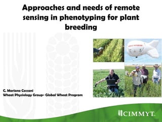 Approaches and needs of remote
sensing in phenotyping for plant
breeding

C. Mariano Cossani
Wheat Physiology Group- Global Wheat Program

 