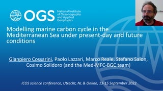 Modelling marine carbon cycle in the
Mediterranean Sea under present-day and future
conditions
Gianpiero Cossarini, Paolo Lazzari, Marco Reale, Stefano Salon,
Cosimo Solidoro (and the Med-MFC-BGC team)
ICOS science conference, Utrecht, NL & Online, 13-15 September 2022
 