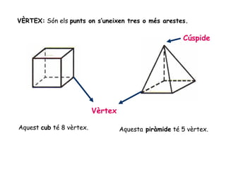 Vèrtex
Aquest cub té 8 vèrtex. Aquesta piràmide té 5 vèrtex.
VÈRTEX: Són els punts on s’uneixen tres o més arestes.
Cúspide
 