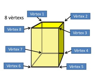8 vèrtexs
Vèrtex 1
Vèrtex 2
Vèrtex 3
Vèrtex 4
Vèrtex 5Vèrtex 6
Vèrtex 7
Vèrtex 8
 