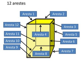 12 arestes
Aresta 1 Aresta 2
Aresta 3
Aresta 6
Aresta 7
Aresta 9
Aresta 10
Aresta 11 Aresta 4 Aresta 5
Aresta 8
Aresta 12
 