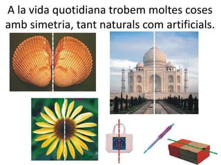 A la vida quotidiana trobem moltes coses
amb simetria, tant naturals com artificials.
 