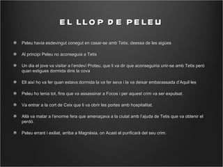 E L LLO P D E P E LE U
Peleu havia esdevingut conegut en casar-se amb Tetis, deessa de les aigües

Al principi Peleu no aconseguia a Tetis

Un dia el jove va visitar a l’endeví Proteu, que li va dir que aconseguiria unir-se amb Tetis però
quan estigues dormida dins la cova

Ell així ho va fer quan estava dormida la va fer seva i la va deixar embarassada d’Aquil·les

Peleu ho tenia tot, fins que va assassinar a Focos i per aquest crim va ser expulsat.

Va entrar a la cort de Ceix que li va obrir les portes amb hospitalitat.

Allà va matar a l’enorme fera que amenaçava a la ciutat amb l’ajuda de Tetis que va obtenir el
perdó.

Peleu errant i exiliat, arriba a Magnèsia, on Acast el purificarà del seu crim.
 