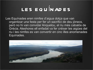 LE S E Q U ÍN AD E S
Les Equínades eren nimfes d’aigua dolça que van
  organitzar una festa per fer un sacrifici de deu jònecs,
  però no hi van convidar Anquelou, el riu més cabalós de
  Grècia. Aleshores ell enfadat va fer créixer les aigües del
  riu i les nimfes es van convertir en cinc illes anomenades
  Equínades.
 