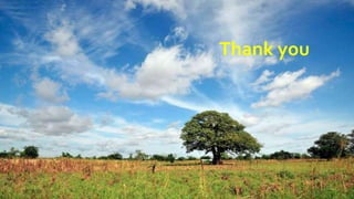 Cost benefit analysis of  csa practices utilization in the guinea savannah and forest agro-ecological zones of ghana- implications for csa investment and scalability at subnational level