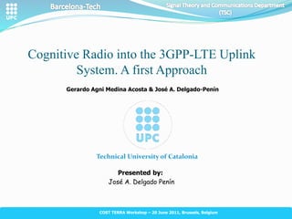 Cognitive Radio into the 3GPP-LTE Uplink
System. A first Approach
Presented by:
José A. Delgado Penín
Gerardo Agni Medina Acosta & José A. Delgado-Penín
COST TERRA Workshop – 20 June 2011, Brussels, Belgium
 