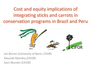 Cost and equity implications of integrating sticks and carrots in conservation programs in Brazil and Peru 
Jan Börner(University of Bonn, CIFOR) 
Eduardo Marinho(CIFOR) 
Sven Wunder(CIFOR)  
