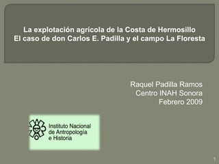 La explotación agrícola de la Costa de HermosilloEl caso de don Carlos E. Padilla y el campo La Floresta  Raquel Padilla Ramos Centro INAH Sonora Febrero 2009 1 