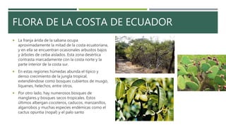 FLORA DE LA COSTA DE ECUADOR
 La franja árida de la sabana ocupa
aproximadamente la mitad de la costa ecuatoriana,
y en e...