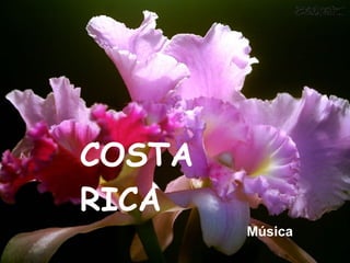 Música COSTA RICA 
